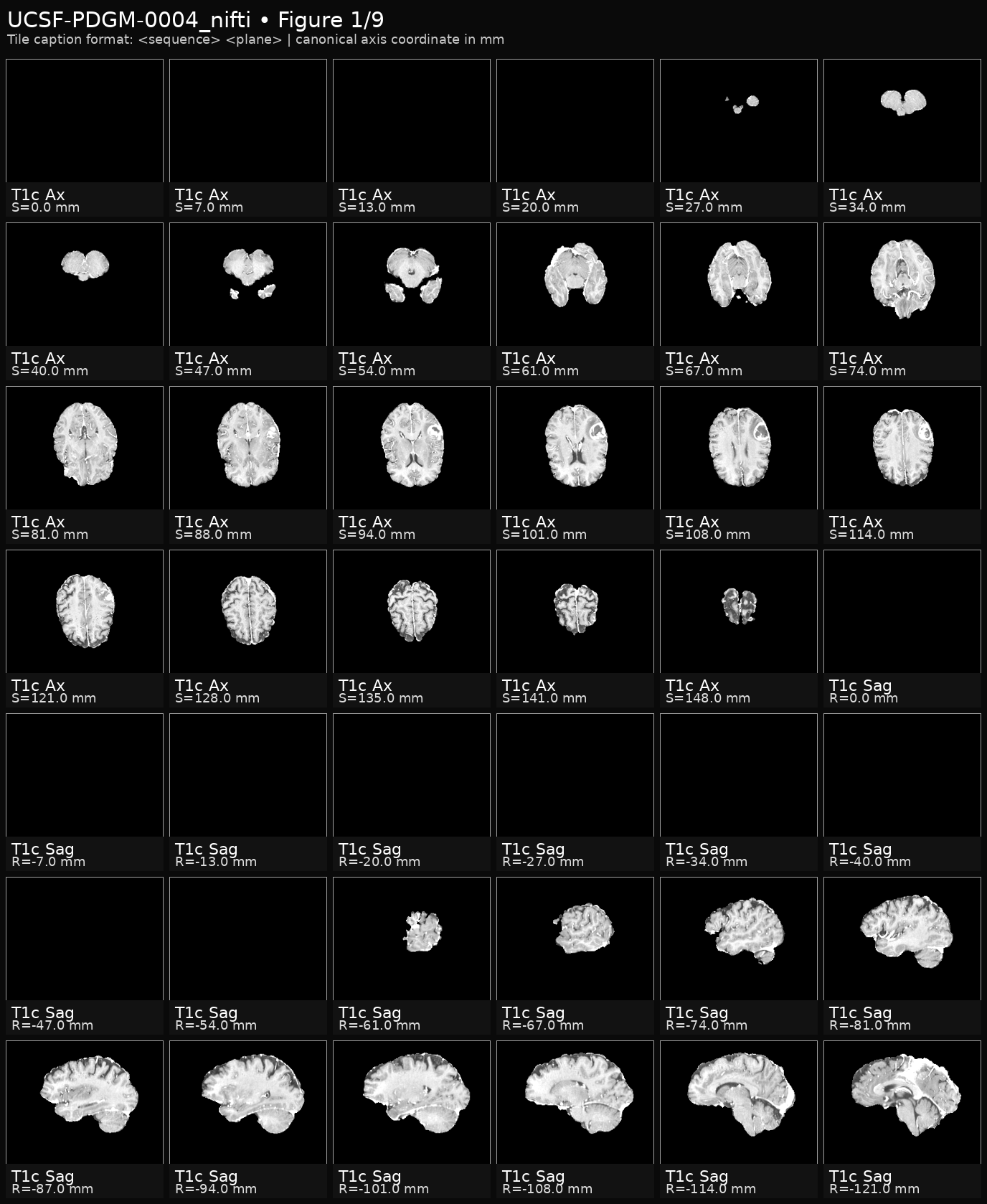 2D slice montage runtime-agnostic baseline