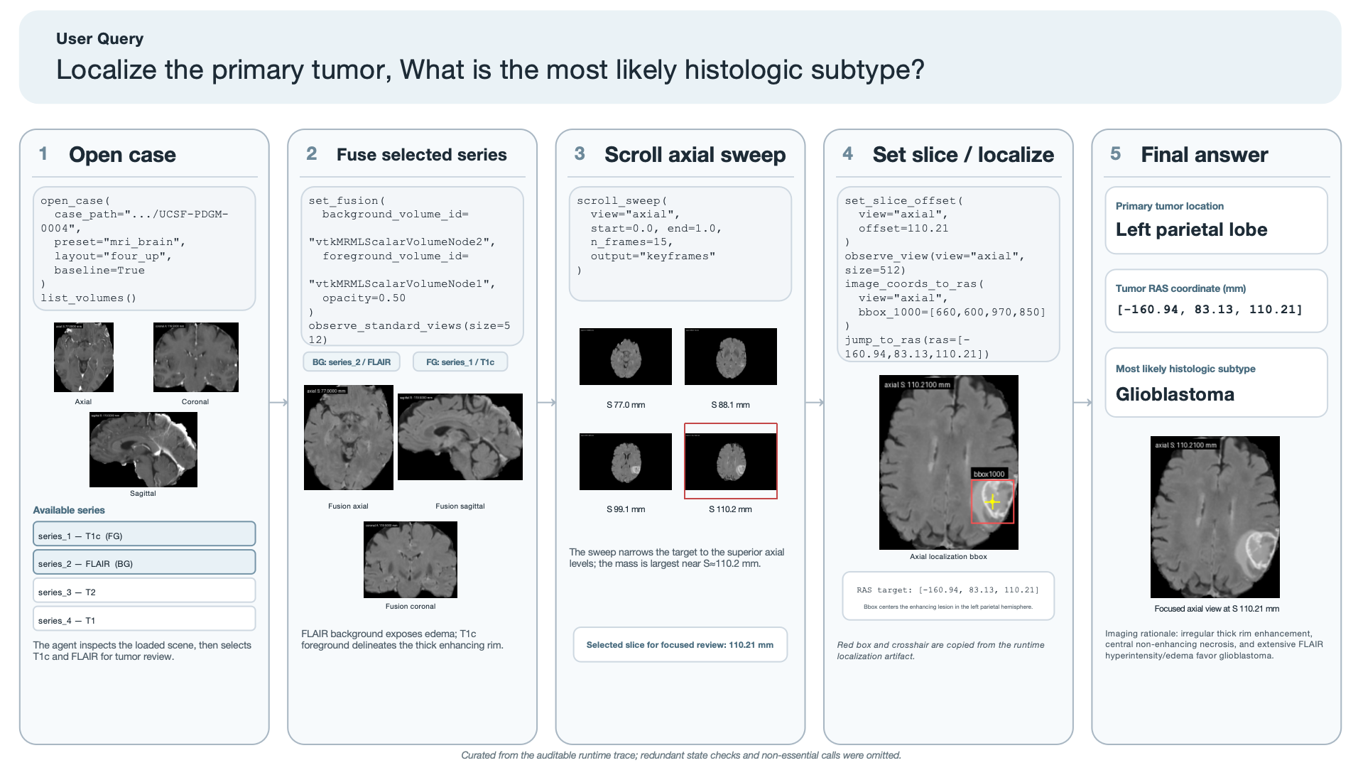 MedCopilot style viewer-native brain MRI trace