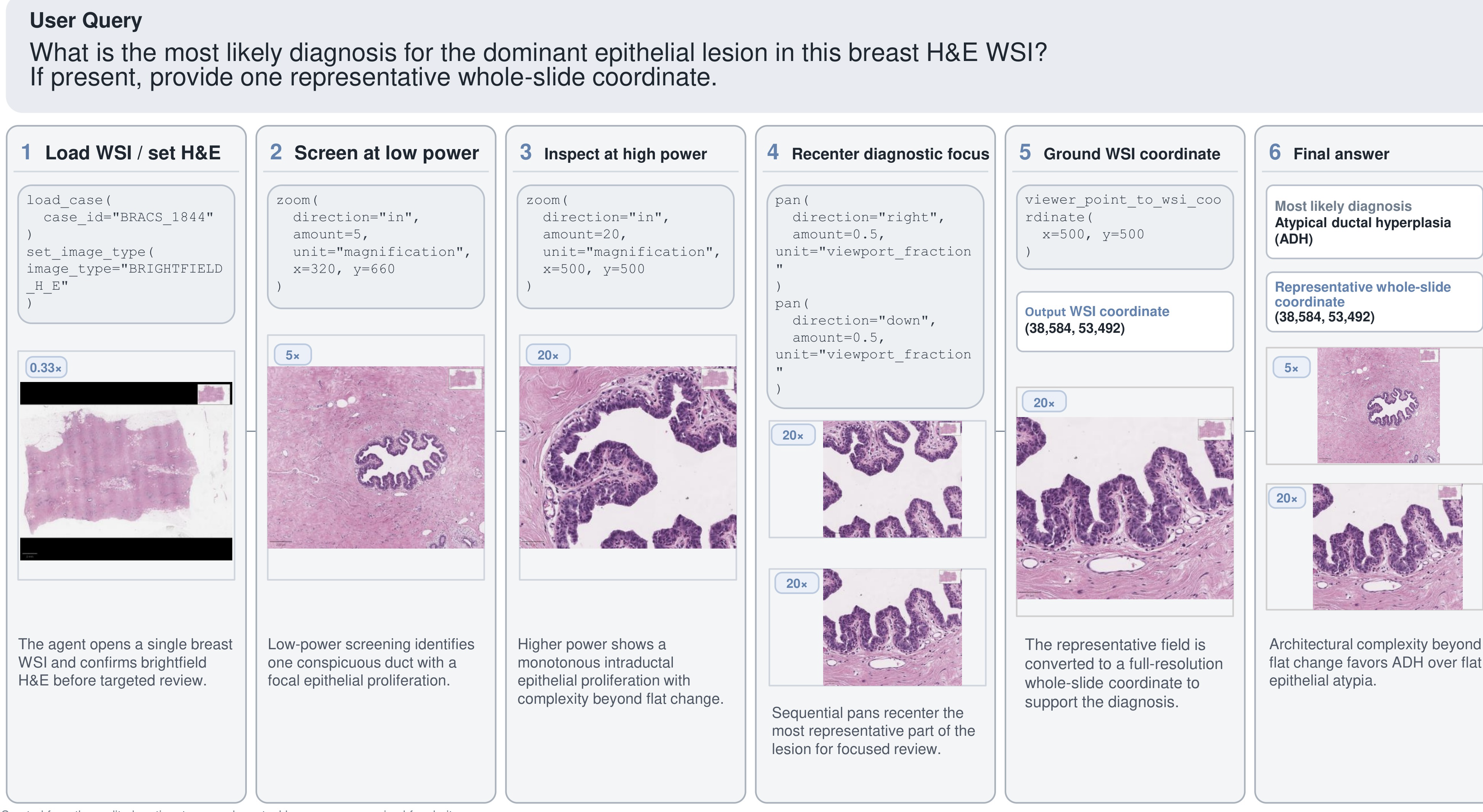 Whole-Slide Pathology Search demo figure