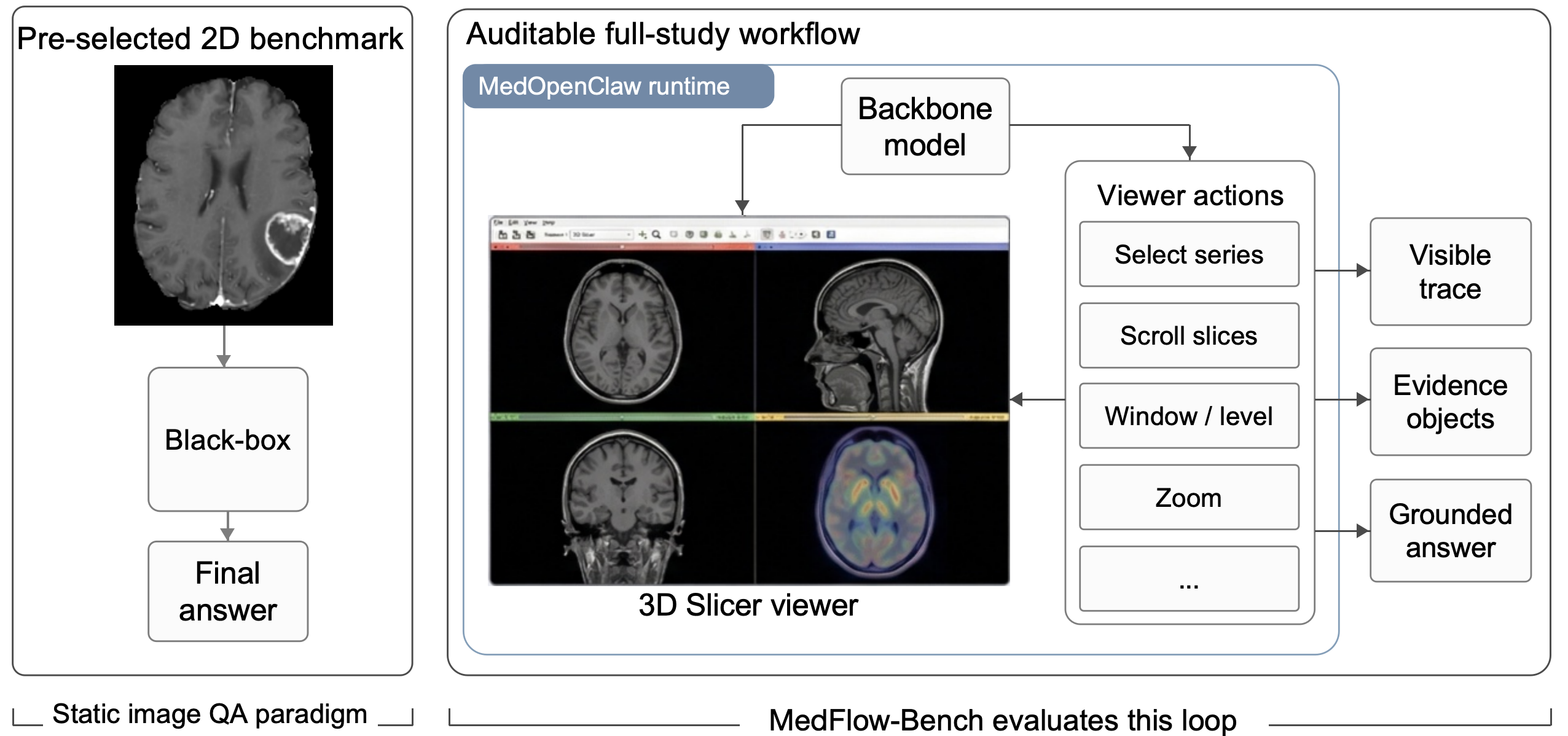 Main figure of MedOpenClaw